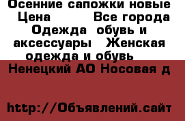 Осенние сапожки новые › Цена ­ 600 - Все города Одежда, обувь и аксессуары » Женская одежда и обувь   . Ненецкий АО,Носовая д.